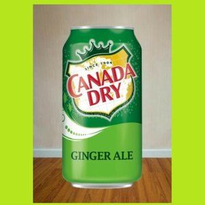 12oz Candle Canada Dry Ginger Ale Soda Can Candles Handcrafted in TN Gift